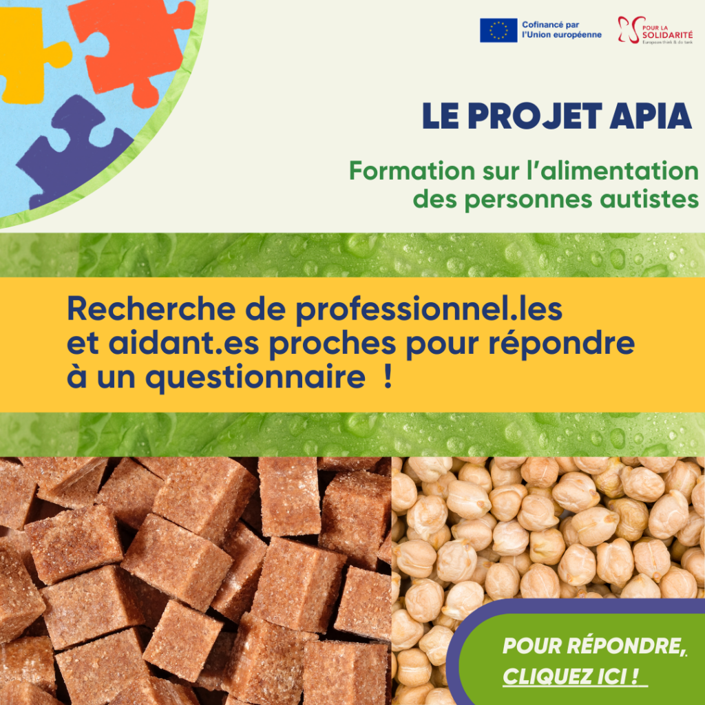 Affiche projet APIA