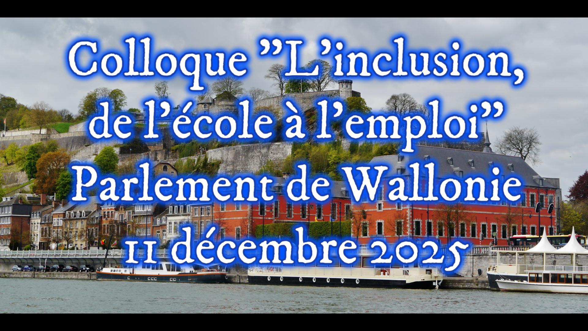 Capture d'écran de la couverture de la vidéo sur le colloque "L'inclusion, de l'école à l'emploi"