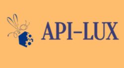 Logo API-LUX